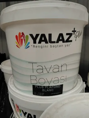 Peinture intérieur blanc pour les plafond