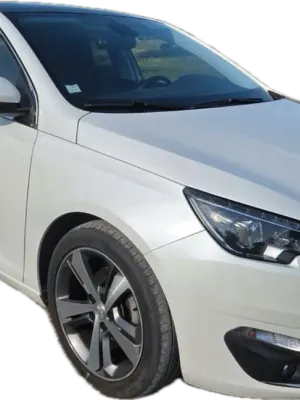 Peugeot 308 feline