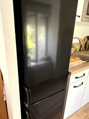 Telefunken frigo