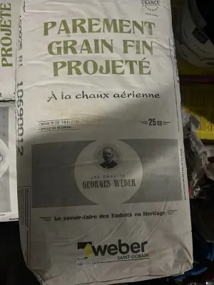 Parement grain fin à projeté reste du chantier 18sacs