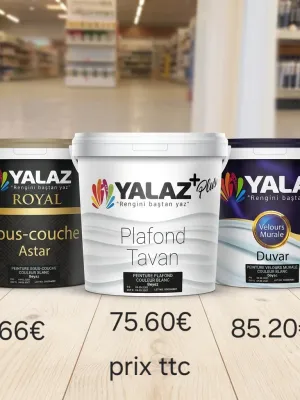 3 model Peinture blanc sous-couche, mate plafond et velours murale