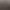 Animaux